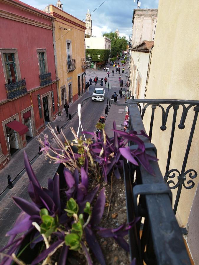 Lele Panchito Y Lavanda Juntos En El Centro Querétaro Exteriér fotografie