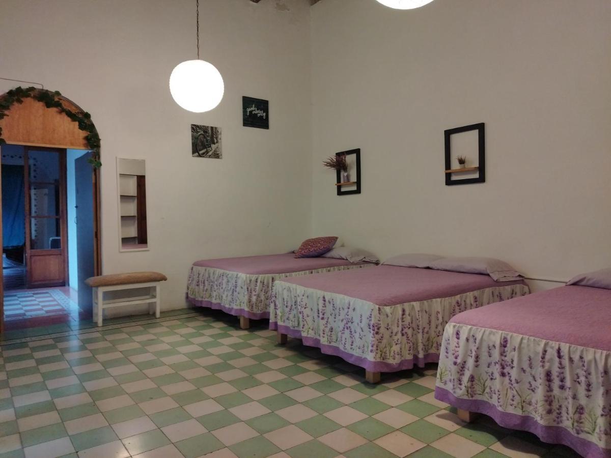 Lele Panchito Y Lavanda Juntos En El Centro Querétaro Exteriér fotografie