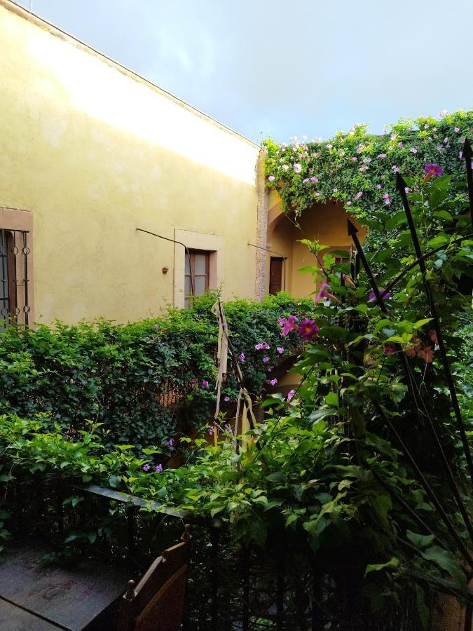 Lele Panchito Y Lavanda Juntos En El Centro Querétaro Exteriér fotografie