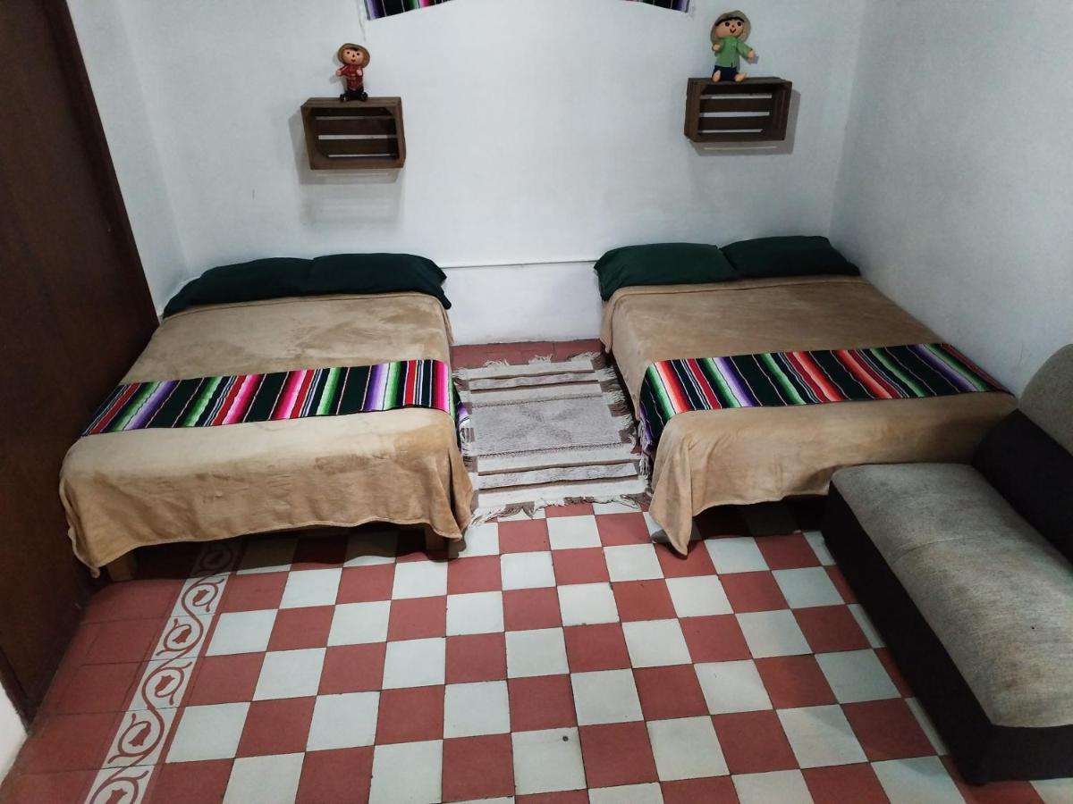 Lele Panchito Y Lavanda Juntos En El Centro Querétaro Exteriér fotografie