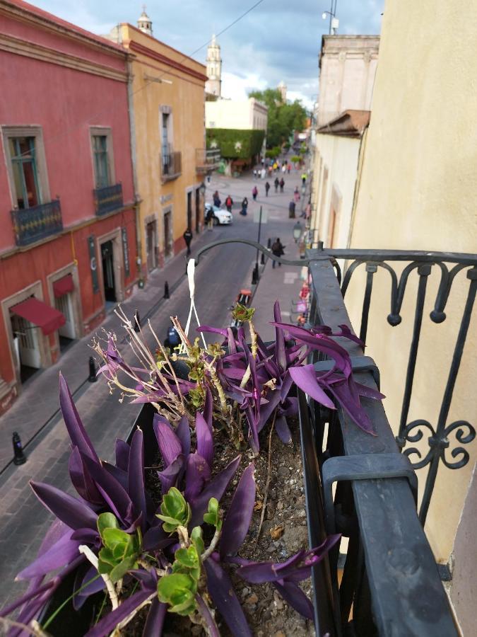 Lele Panchito Y Lavanda Juntos En El Centro Querétaro Exteriér fotografie