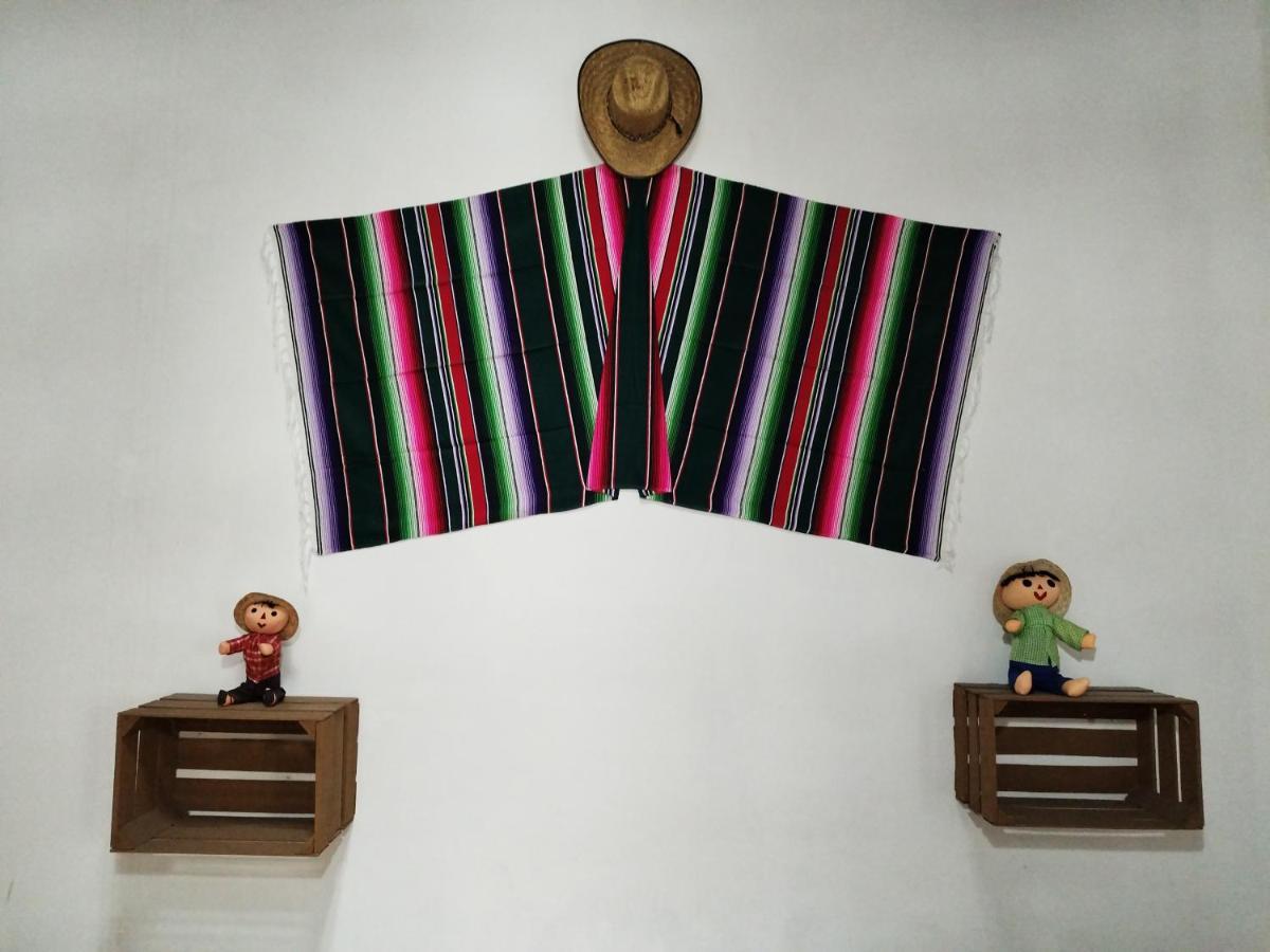 Lele Panchito Y Lavanda Juntos En El Centro Querétaro Exteriér fotografie