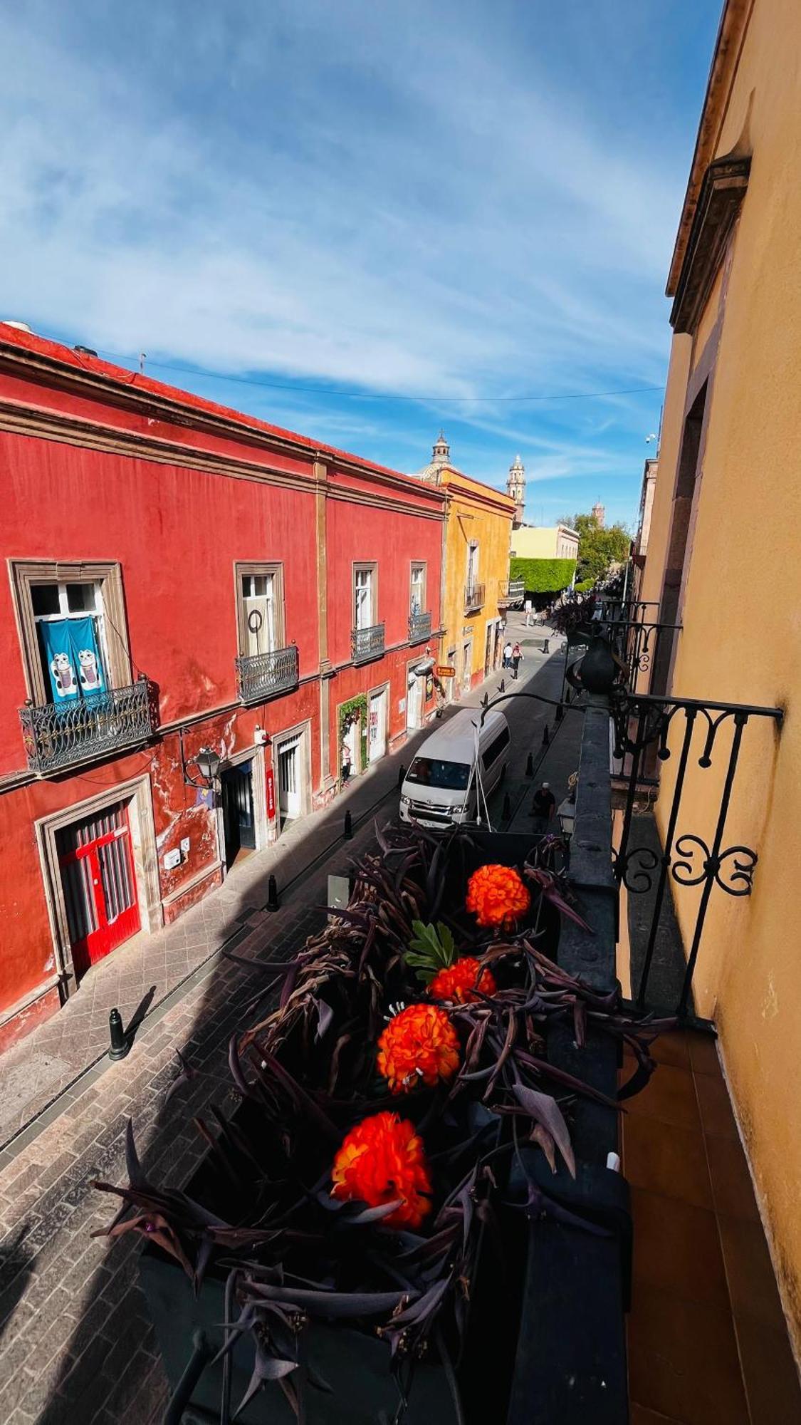 Lele Panchito Y Lavanda Juntos En El Centro Querétaro Exteriér fotografie