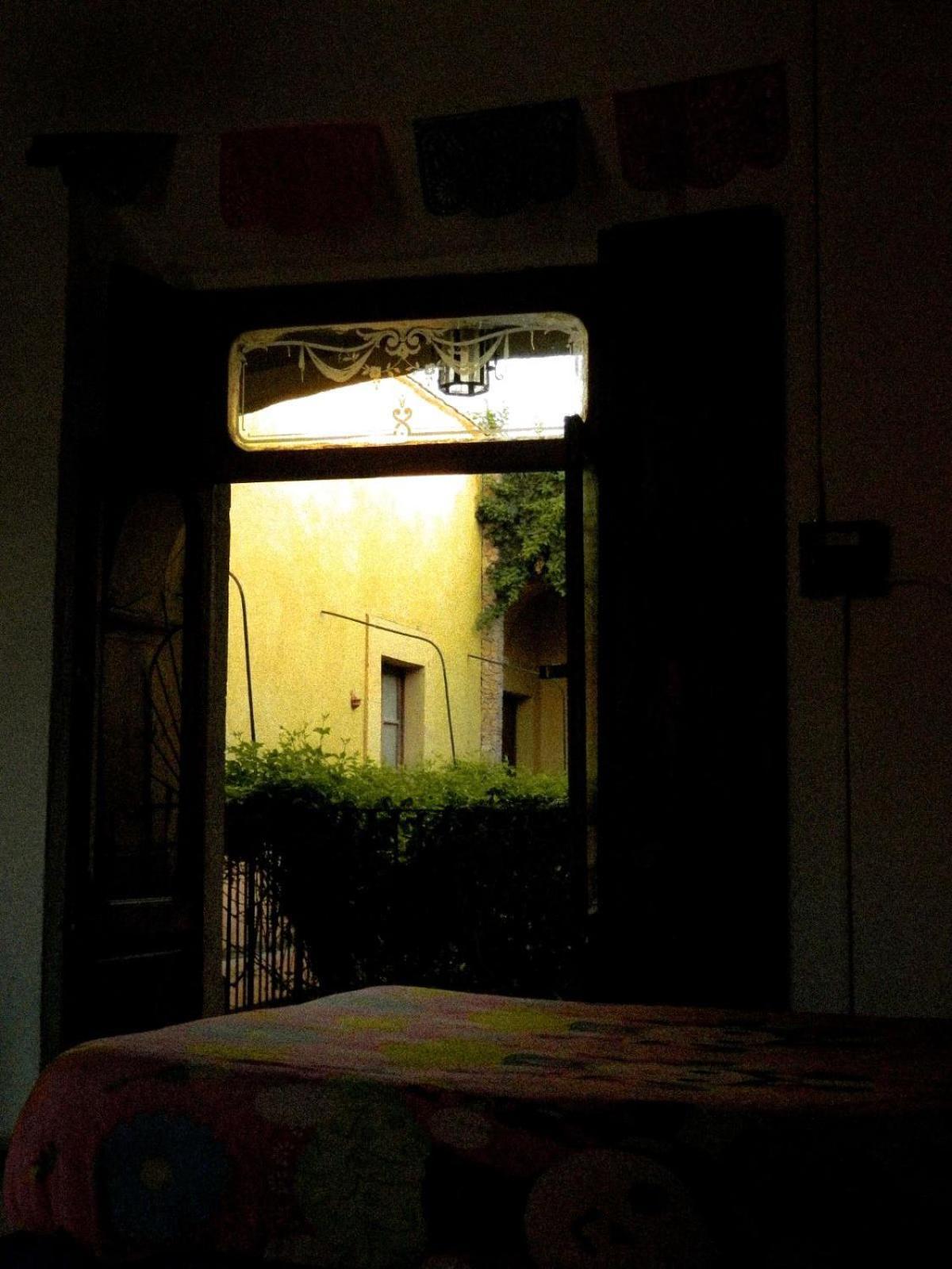 Lele Panchito Y Lavanda Juntos En El Centro Querétaro Exteriér fotografie